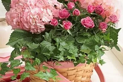 imagens jigsaw puzzle