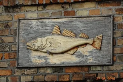 Fisch auf Tafel
