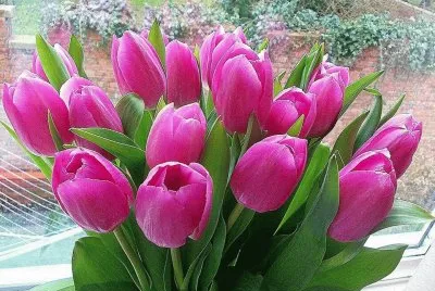 imagens jigsaw puzzle