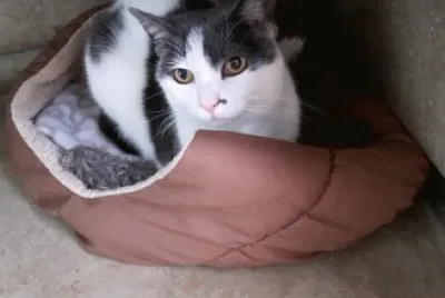 Bella