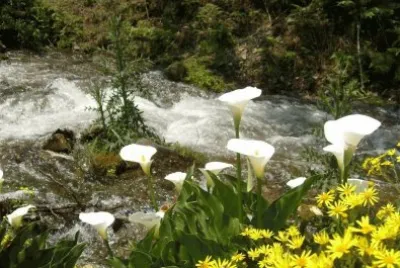 Cerca de El EncÃ³n. Salta. Argentina jigsaw puzzle