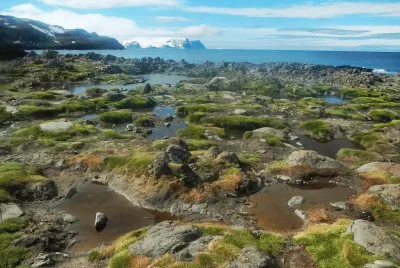 En la AntÃ¡rtida Argentina