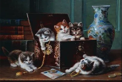 gatinhos