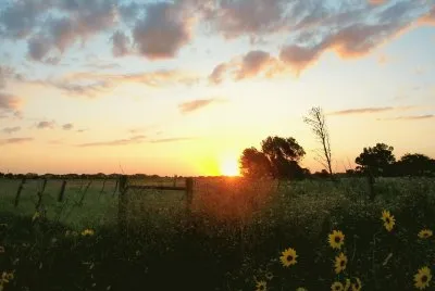 atardecer en el campo