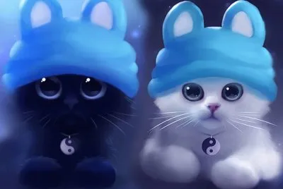 gatos