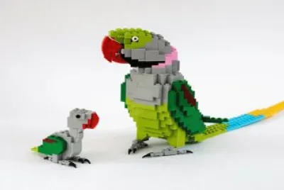 פאזל של Increible figura de 2 Pericos realizada con Legos