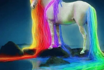 imagens