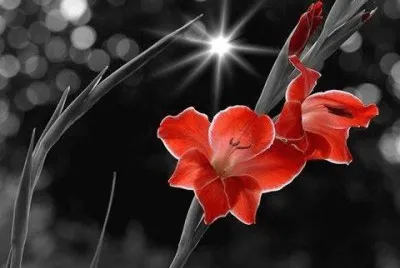 imagens jigsaw puzzle