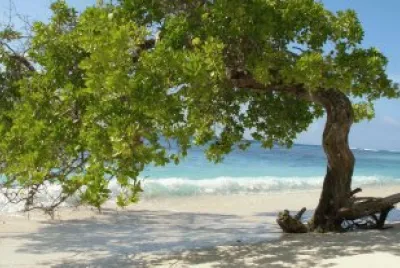 MORROCOY VENEZUELA