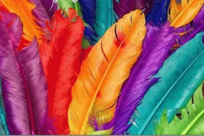 Very Beautiful
