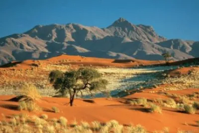 NATUREZA