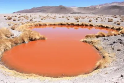 En el Salar de Antofalla. Catamarca. Argentina
