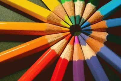 Bunt
