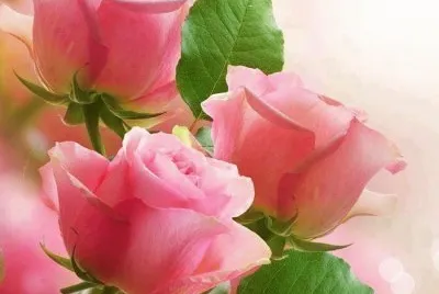 imagens jigsaw puzzle