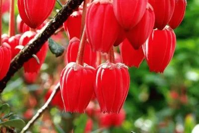 imagens jigsaw puzzle