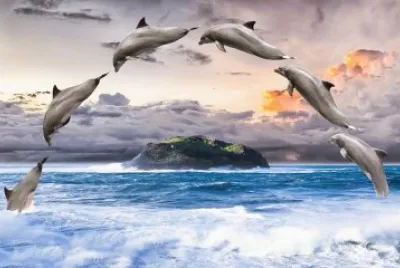 imagens