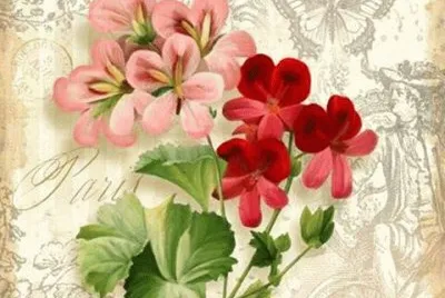 flor