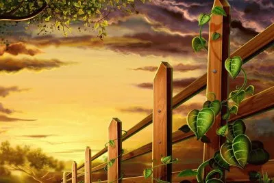 imagenes