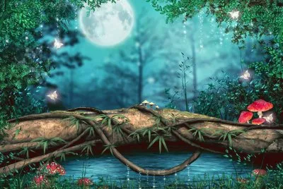 fantasia