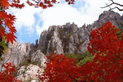 NATUREZA