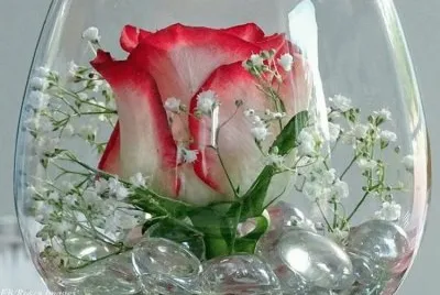 imagens jigsaw puzzle