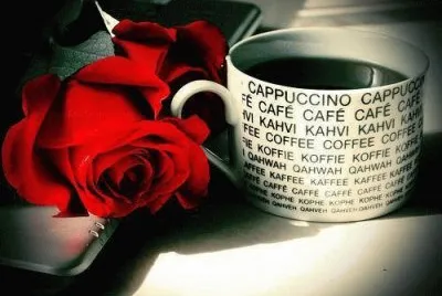 imagens jigsaw puzzle