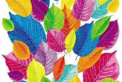Bunt