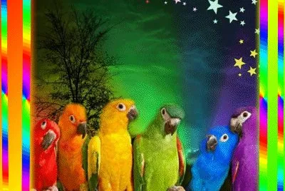 Bunt