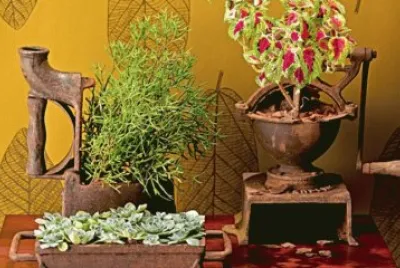 aaa