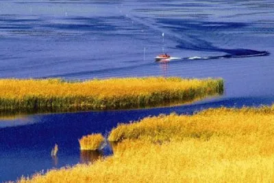 NATUREZA