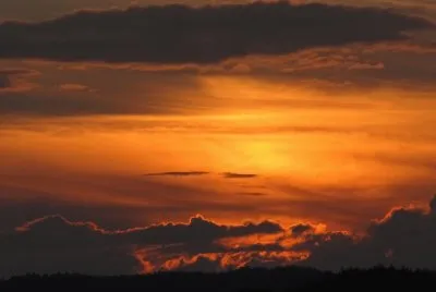 Orange sunset after misty morning spider web