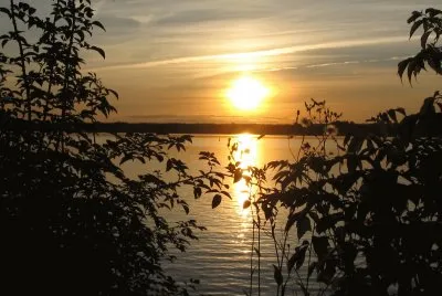 Sunset between two bushes