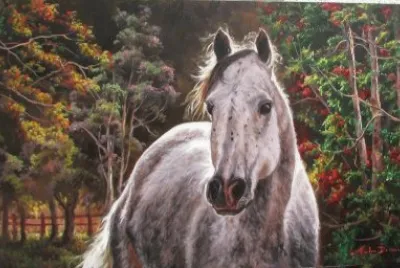 cavalo