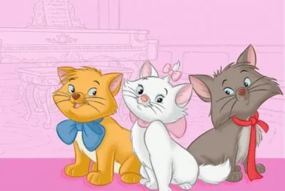 gatos