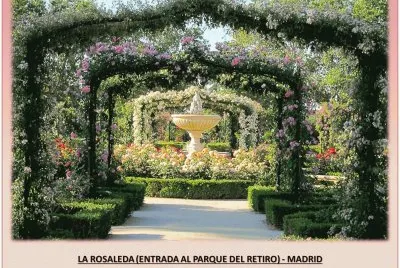 LA ROSALEDA - ENTRADA AL PARQUE DEL RETIRO