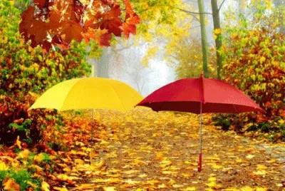 Bunt jigsaw puzzle