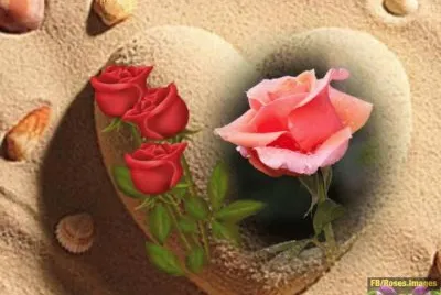 imagens jigsaw puzzle