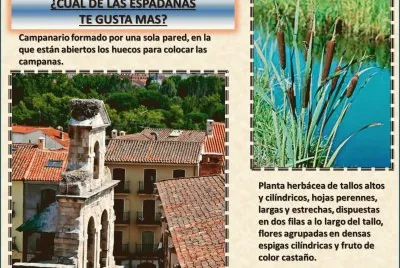 Â¿CUAL DE LAS ESPADAÃ‘AS TE GUSTA MAS?