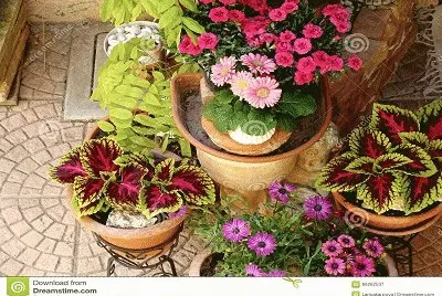 color