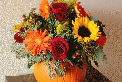 Autumn Flowers