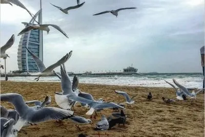 imagens jigsaw puzzle