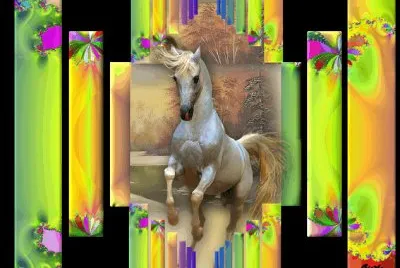 Bunt