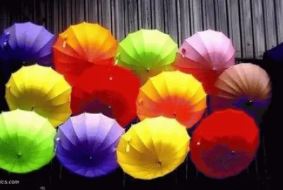 Bunt