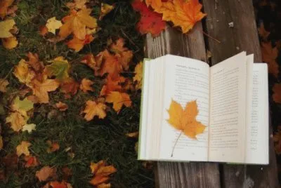 פאזל של libri