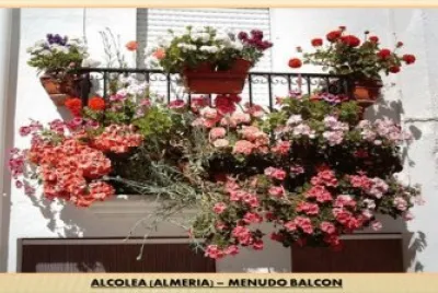 MENUDO BALCON