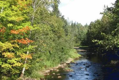 Mullin 's Stream
