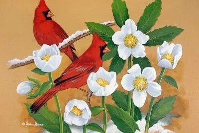 flor