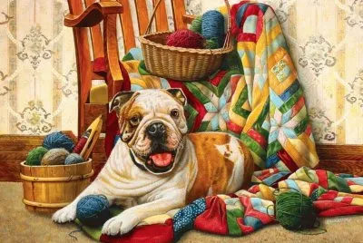 cÃ£ozinho
