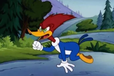 pajaro loco