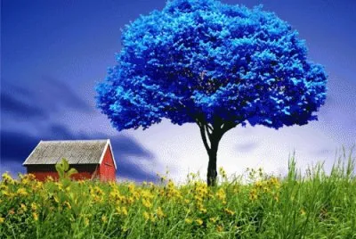 NATUREZA